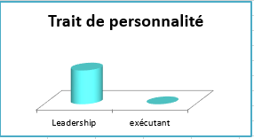 Constat PersonnaliteLeadershipAfterMartin